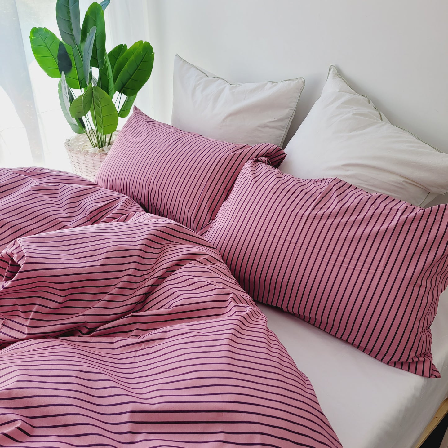 Alexa-Premium 100% Cotton Quilt Cover Set