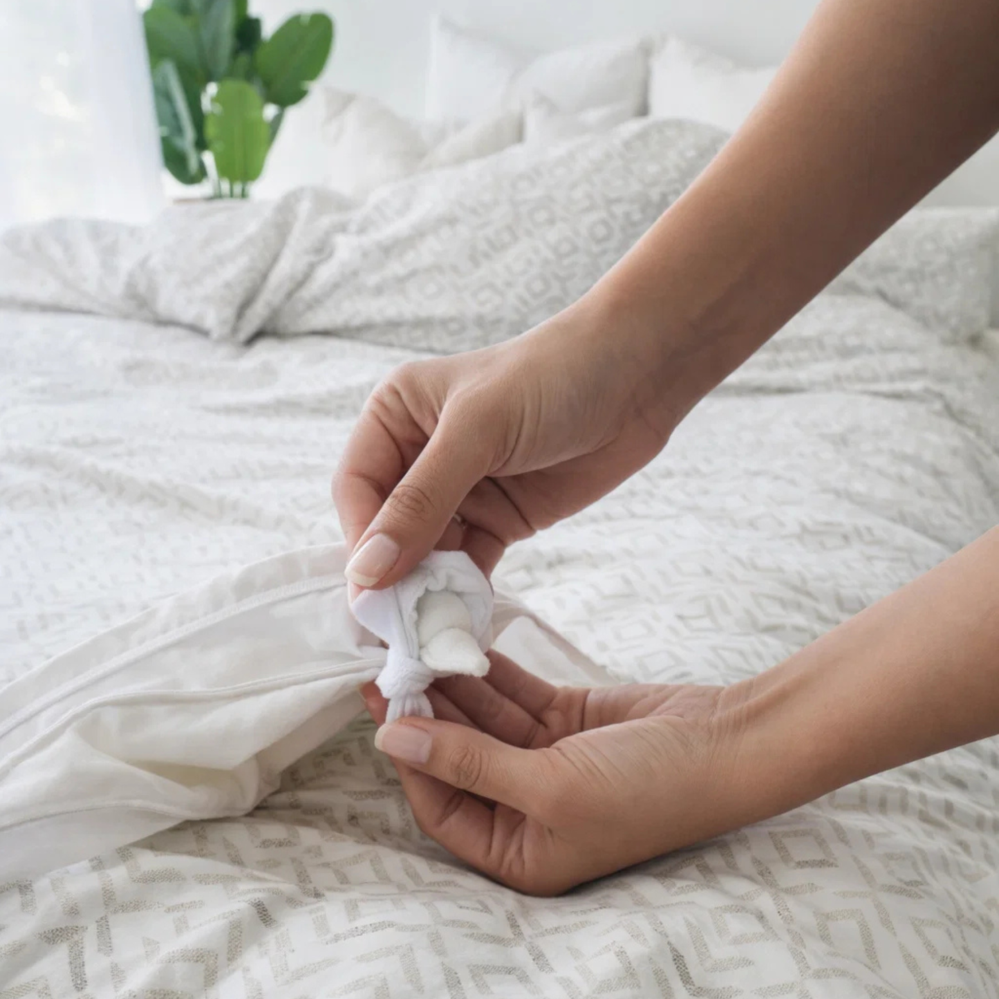 Belinda Quilt Cover Set-Moisture-Wicking Fabric in Pure Cotton Percale